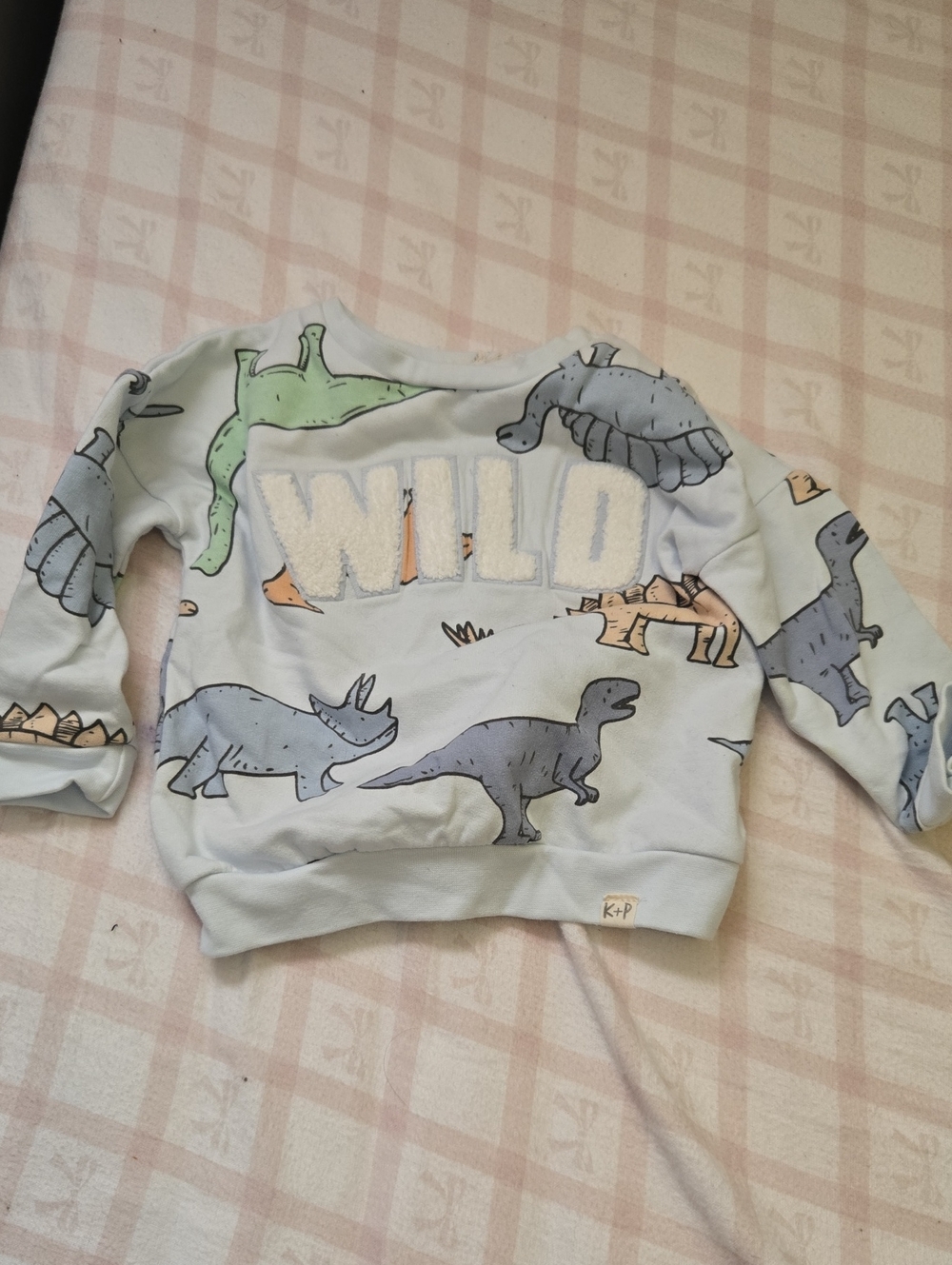 Kids Light Blue 'Wild' Dinosaur Sweatshirt